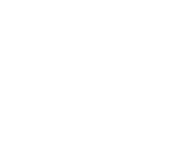 TREBITSCH - Czech Whisky